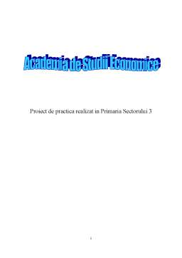 Proiect - Proiect de practică în Primăria Sectorului 3