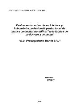 Proiect - Evaluarea riscurilor de accidentare și îmbolnăvire profesională la SC Prodagrolemn Borviz SRL
