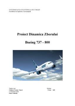 Proiect - Dinamica zborului - Boeing 737 - 800