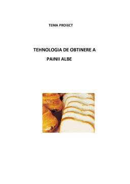 Proiect - Tehnologia de obținere a pâinii albe