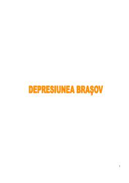 Referat - Depresiunea Brașov