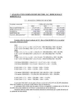Proiect - Analiza economico- financiară - SC Robena SA