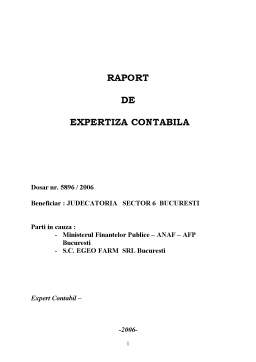 Proiect - Raport de expertiză contabilă