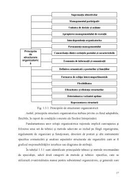 Licență - Structura organizațională ACPA Aroma