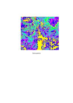 Referat - Evaluarea susceptibilității la alunecările de teren prin analiza bivaribilă