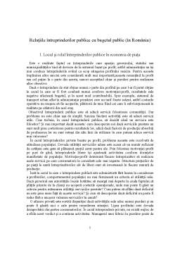 Referat - Relațiile întreprinderilor publice cu bugetul de stat în România