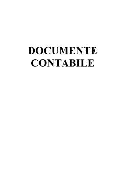 Referat - Documente Contabile