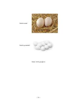 Proiect - Merceologia și Expertiza Ouălor