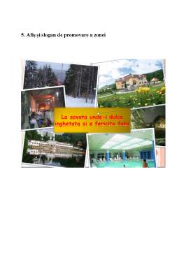 Proiect - Economia turismului - monografia turistică a zonei Sovata