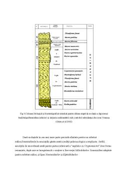 Referat - Petrografia Formațiunilor Argiloase din Cariera de la Vlădiceni