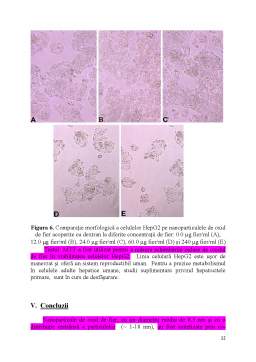 Referat - Sinteza și Caracterizarea Nanoparticulelor de Maghemită pentru Diagnosticarea Organismelor Vii