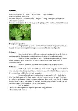 Referat - Valorificarea Plantelor Medicinale