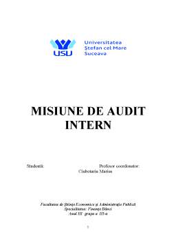 Proiect - Misiune de Audit Intern