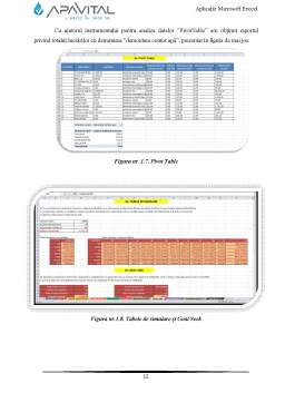 Proiect - Informatică pentru afaceri - aplicație Microsoft Excel