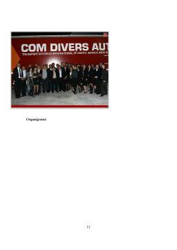 Proiect - Managementul calității la SC Com Divers Auto Ro SA