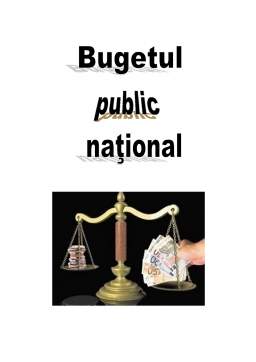 Referat - Bugetul public național