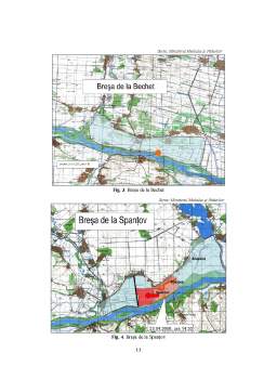 Referat - Hazarde hidrologice - inundațiile pe sectorul românesc al Dunării