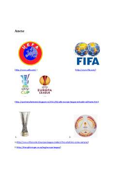 Referat - Particularități organizatorice ale unei competiții sportive - UEFA Europa League