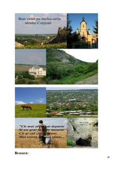 Proiect - Analiza-diagnostic social-economică a Localității Corjeuti din Raionul Briceni în Vederea Includerii Acesteia în Circuitul Turistic Rural al Republicii Moldova