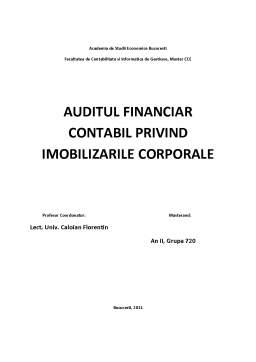 Proiect - Auditul financiar contabil privind imobilizările corporale