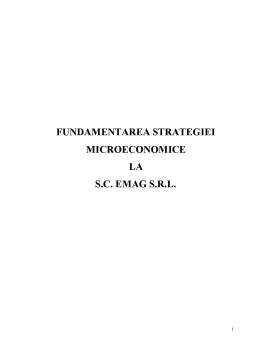 Proiect - Fundamentarea Strategiei Microeconomice la eMAG