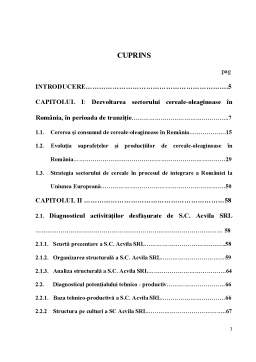 Licență - Analiza Diagnostic a SC Acvila SRL Măcin