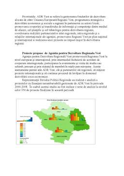 Referat - Regiunea de Dezvoltare Vest România