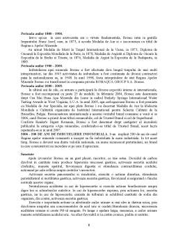 Proiect - Analiza Comparativă a Demersurilor Publicitare pentru Apa Minerala Borsec și Izvorul Minunilor