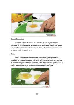 Proiect - Falsificarea oualelor și produselor din ouă