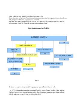 Proiect - Proiectarea Sistemului Informațional al Departamentului de Achiziții Auchan