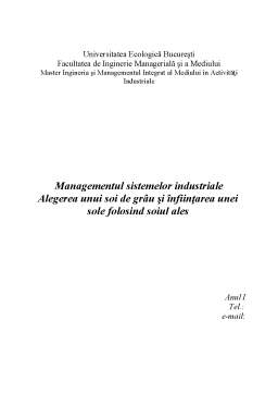 Referat - Managementul sistemelor industriale - tehnica pindar