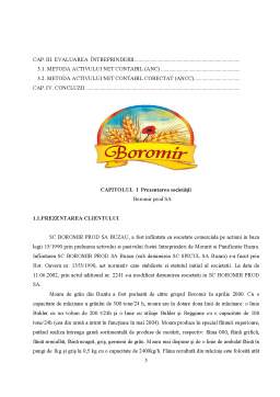 Proiect - Raport de evaluare SC Boromir Prod SA Buzău