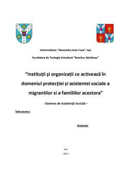 Proiect - Instituții și Organizații ce Activează în Domeniul Protecției și Asistentei Sociale a Migrantilor și a Familiilor Acestora
