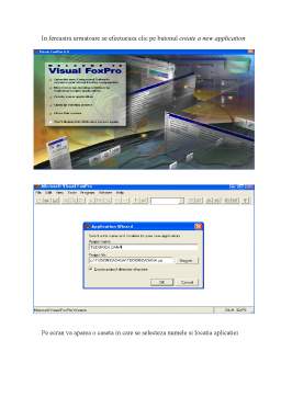Proiect - Microsoft Visual FoxPro