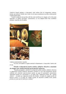 Proiect - Analiza structurală și de compoziție a vinurilor românești