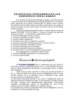Referat - Principiile Fundamentale ale Procesului Penal Român