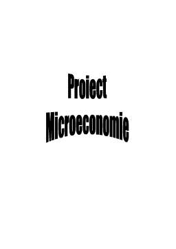 Proiect - Proiect Microeconomie