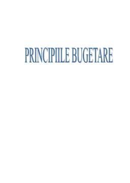 Referat - Principiile Bugetare