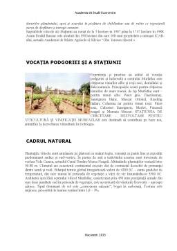 Proiect - Stațiunea de Cercetare-Dezvoltare pentru Viticultura și Vinificație Murfatlar