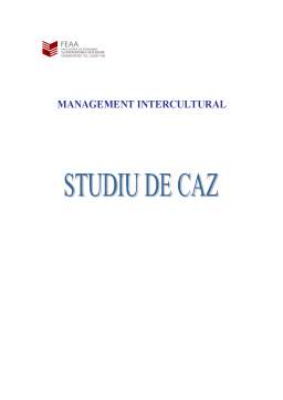 Proiect - Management Intercultural - Studiu de Caz