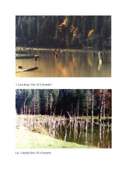 Proiect - Analiza de Stare a Ecosistemului Lacul Natural de Baraj Cuejdel (Lacul Crucii) - Judetul Neamt