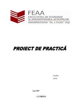 Proiect - Proiect practică - SC Davisim SRL Iași