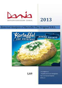 Referat - External Analysis of Kartoffel the Original SRL
