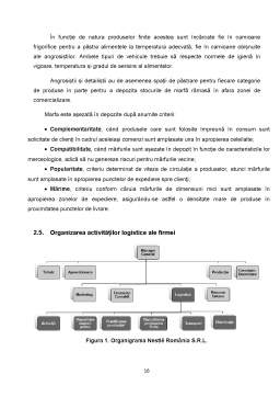Proiect - Sisteme de distribuție și logistică la Nestle România SRL