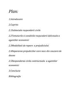 Referat - Răspunderea juridică civilă în dreptul afacerilor