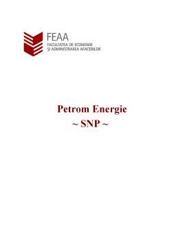 Proiect - Analiza acțiunilor SNP Petrom