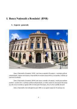 Proiect - Relațiile dintre BNR și Celelalte Bănci