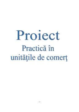 Proiect - Practică în unitățile de comerț - SC Marelvi Com SRL