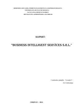 Referat - Business Intelligent Services SRL