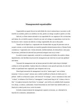 Referat - Managementul Organizațiilor